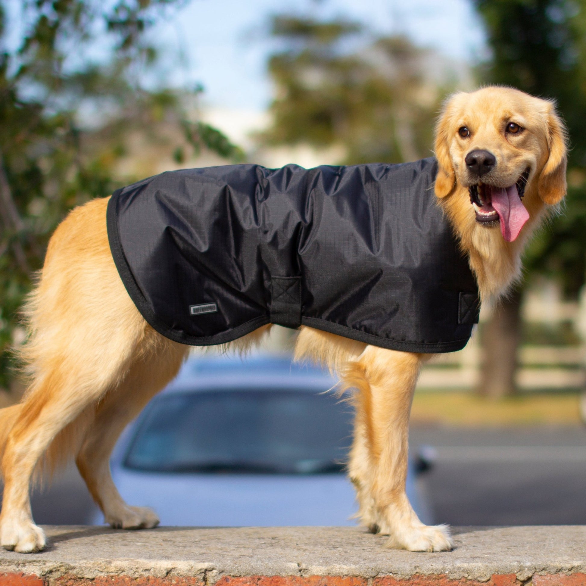 Ruff N Rugged Black Utility Dog Coat - My Pooch and Me