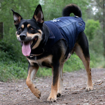 Ruff N Rugged Blue Distressed Denim Coat - My Pooch and Me