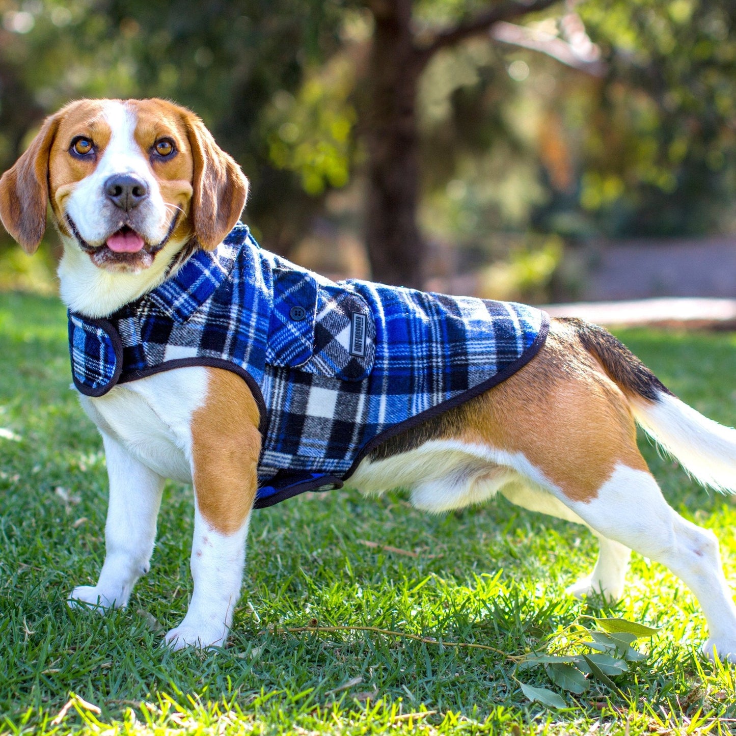 Ruff N Rugged Blue Flannelette Dog Coat - My Pooch and Me