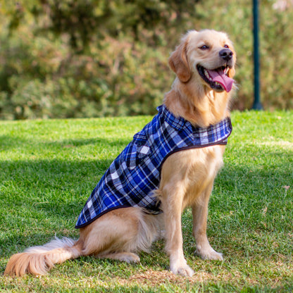 Ruff N Rugged Blue Flannelette Dog Coat - My Pooch and Me