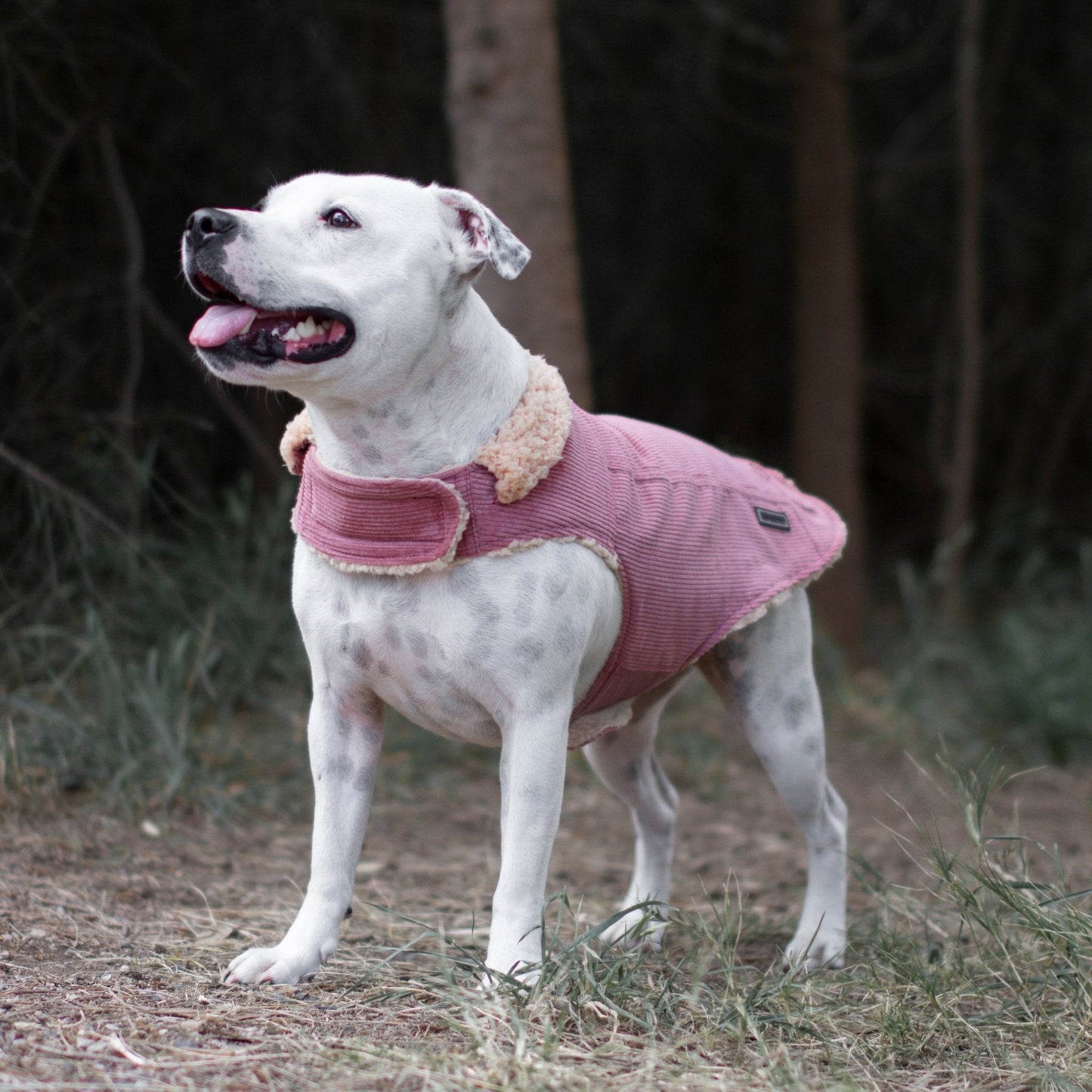 Ruff N Rugged Blush Pink Corduroy Dog Coat - My Pooch and Me