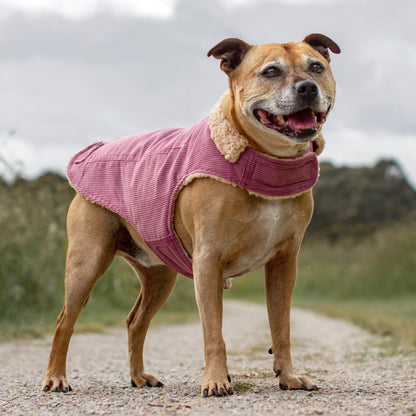 Ruff N Rugged Blush Pink Corduroy Dog Coat - My Pooch and Me