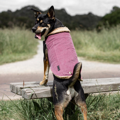 Ruff N Rugged Blush Pink Corduroy Dog Coat - My Pooch and Me