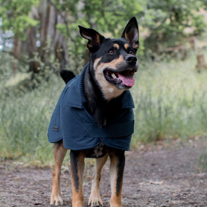 Ruff N Rugged Cadet Navy Trench Dog Coat - My Pooch and Me