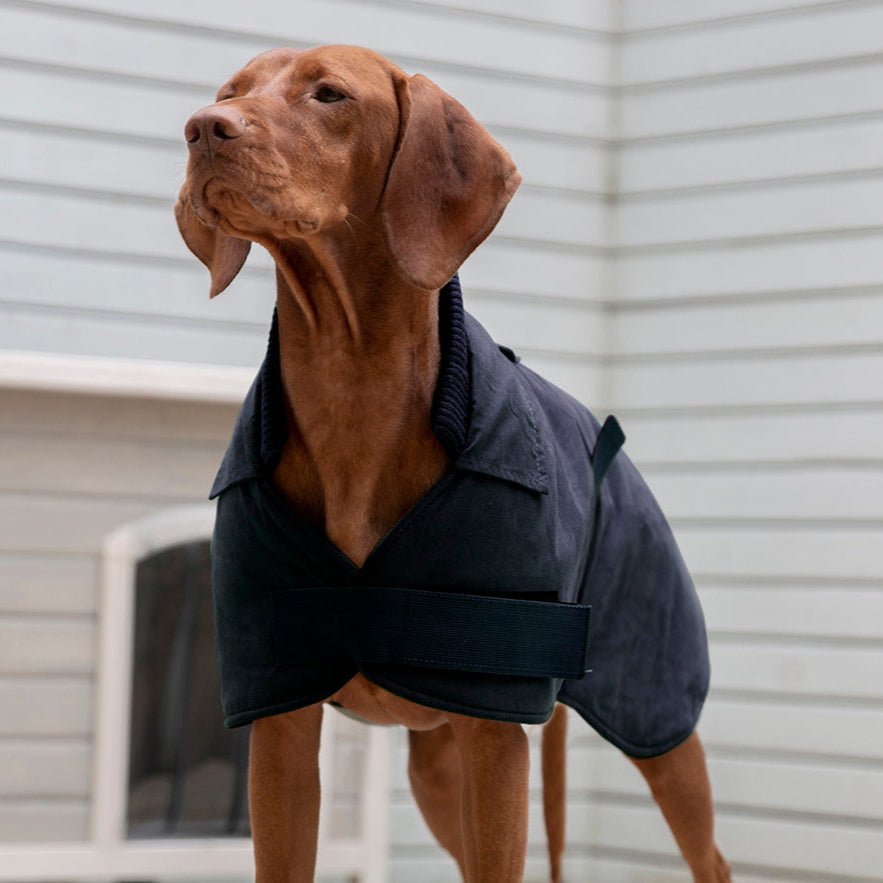 Ruff N Rugged Cadet Navy Trench Dog Coat - My Pooch and Me