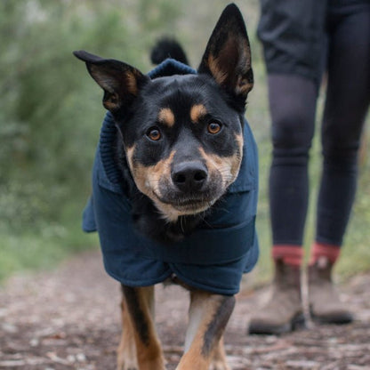 Ruff N Rugged Cadet Navy Trench Dog Coat - My Pooch and Me