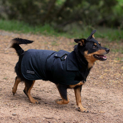 Ruff N Rugged Cadet NavyTrench Coat - My Pooch and Me