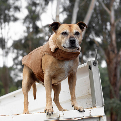 Ruff N Rugged Camel Corduroy Dog Coat - My Pooch and Me