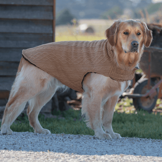 Ruff N Rugged Caramel Wooley Knit Dog Coat - My Pooch and Me