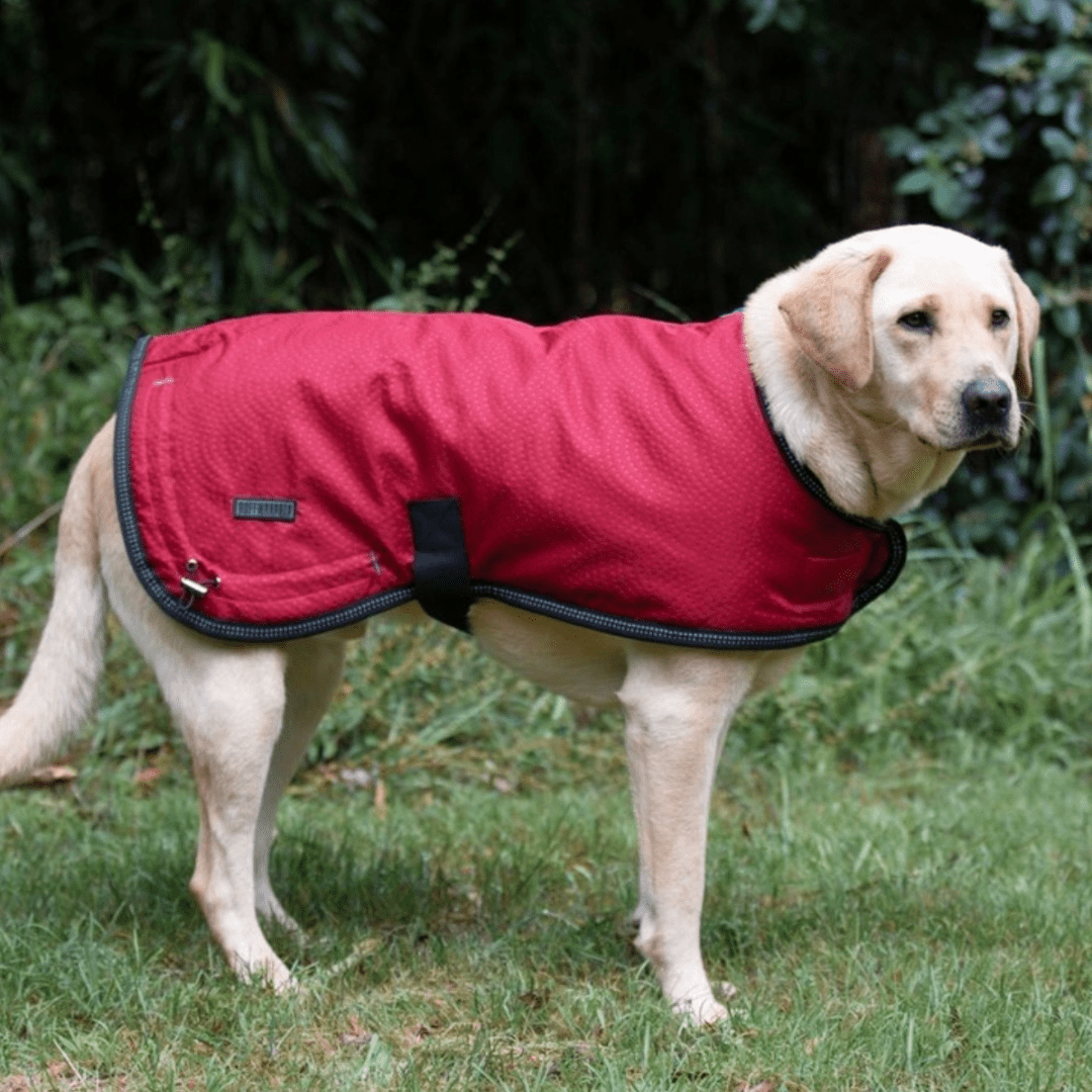 Ruff N Rugged Cherry Red Mortech Rambler Dog Coat - My Pooch and Me