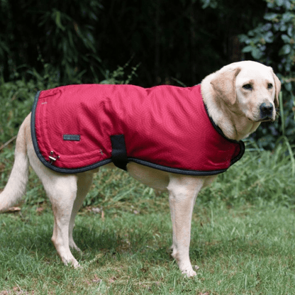 Ruff N Rugged Cherry Red Mortech Rambler Dog Coat - My Pooch and Me