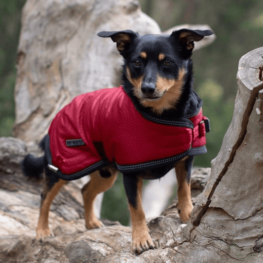 Ruff N Rugged Cherry Red Mortech Rambler Dog Coat - My Pooch and Me