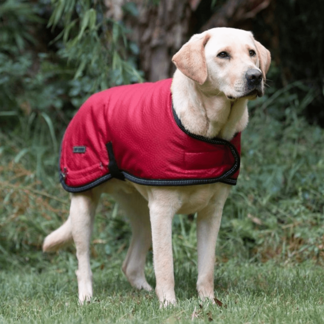 Ruff N Rugged Cherry Red Mortech Rambler Dog Coat - My Pooch and Me