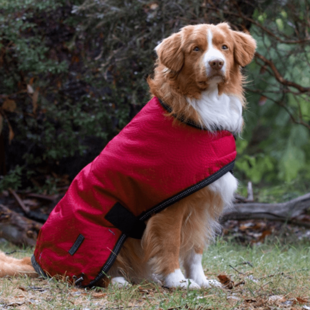 Ruff N Rugged Cherry Red Mortech Rambler Dog Coat - My Pooch and Me
