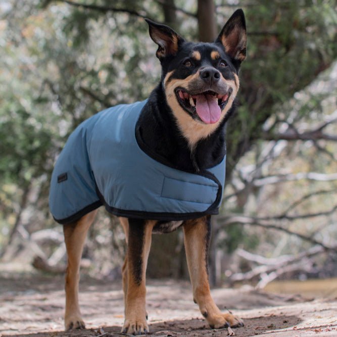 Ruff N Rugged E - Z Blue Dog Coat - My Pooch and Me