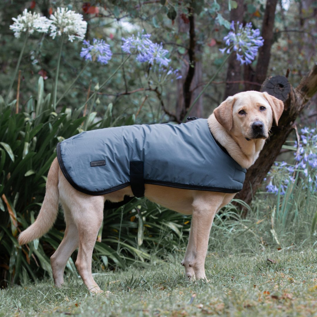 Ruff N Rugged E - Z Blue Dog Coat - My Pooch and Me