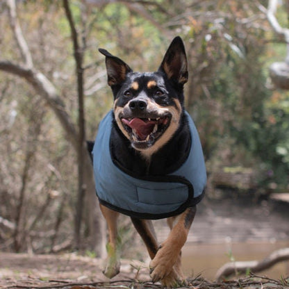 Ruff N Rugged E - Z Blue Dog Coat - My Pooch and Me