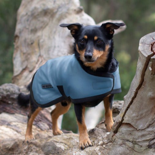 Ruff N Rugged E - Z Blue Dog Coat - My Pooch and Me