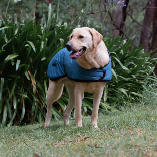 Ruff N Rugged E - Z Blue Dog Coat - My Pooch and Me