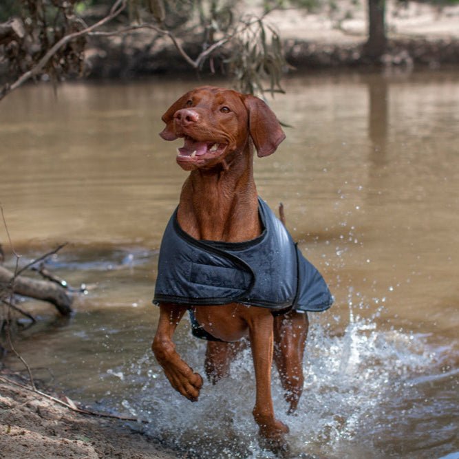 Ruff N Rugged E - Z Slate Blue Dog Coat - My Pooch and Me