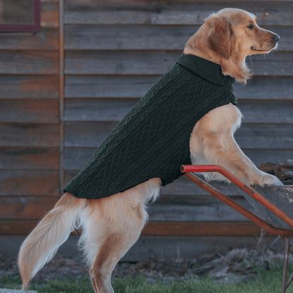 Ruff N Rugged Forest Green Wooley Knit Dog Coat - My Pooch and Me