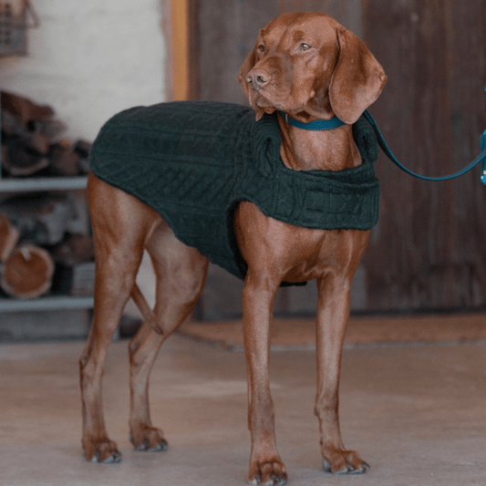 Ruff N Rugged Forest Green Wooley Knit Dog Coat - My Pooch and Me