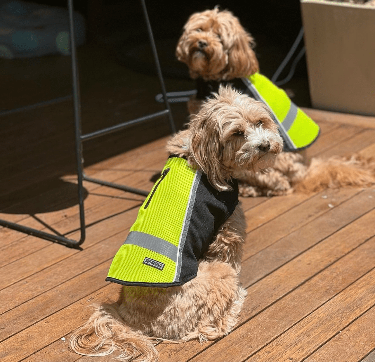 Ruff N Rugged High Vis Safety Dog Coat - My Pooch and Me