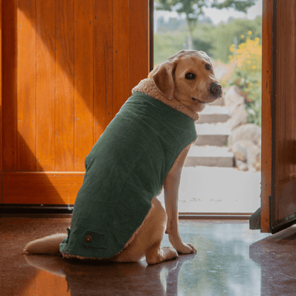 Ruff N Rugged Hunter Green Corduroy Dog Coat - My Pooch and Me