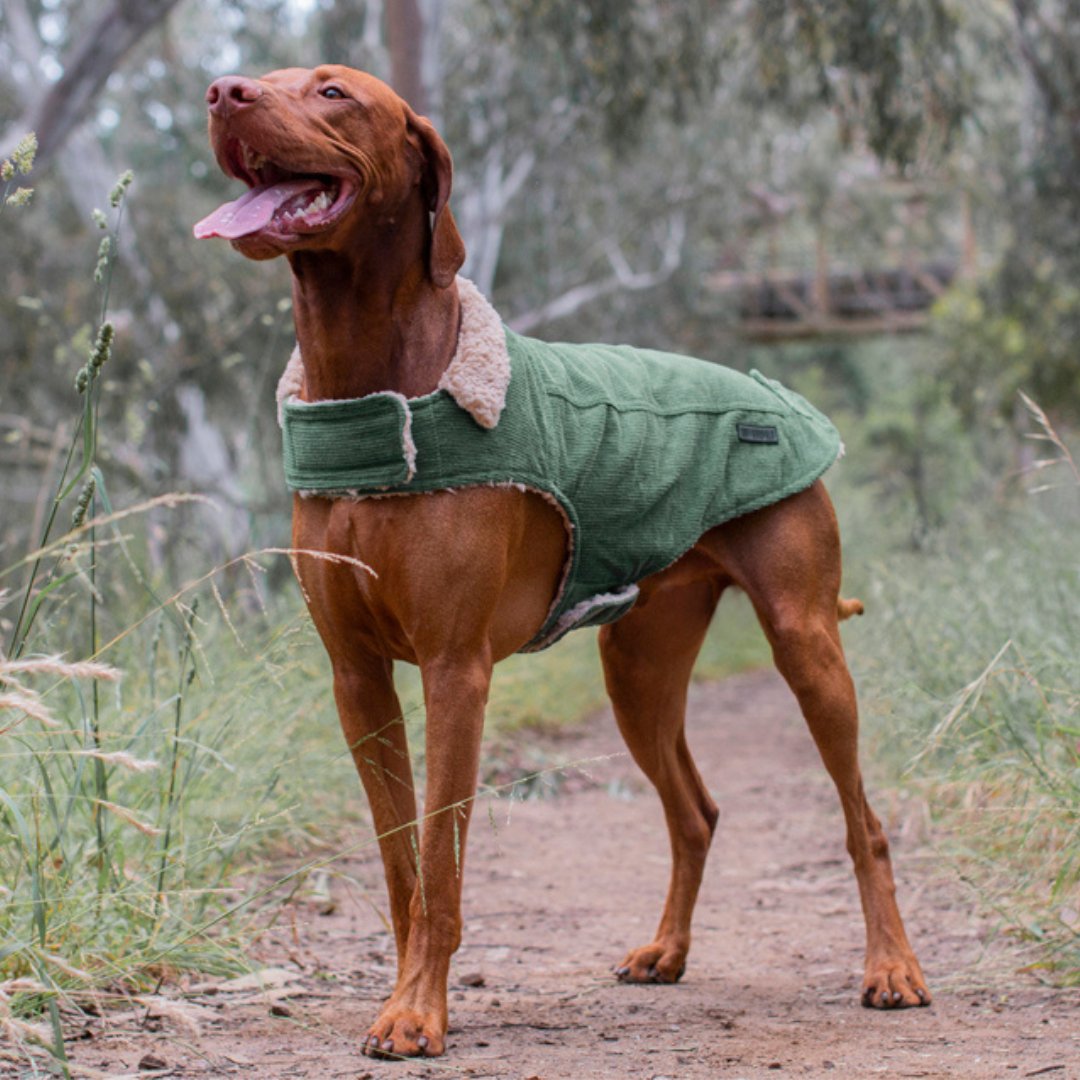 Ruff N Rugged Hunter Green Corduroy Dog Coat - My Pooch and Me