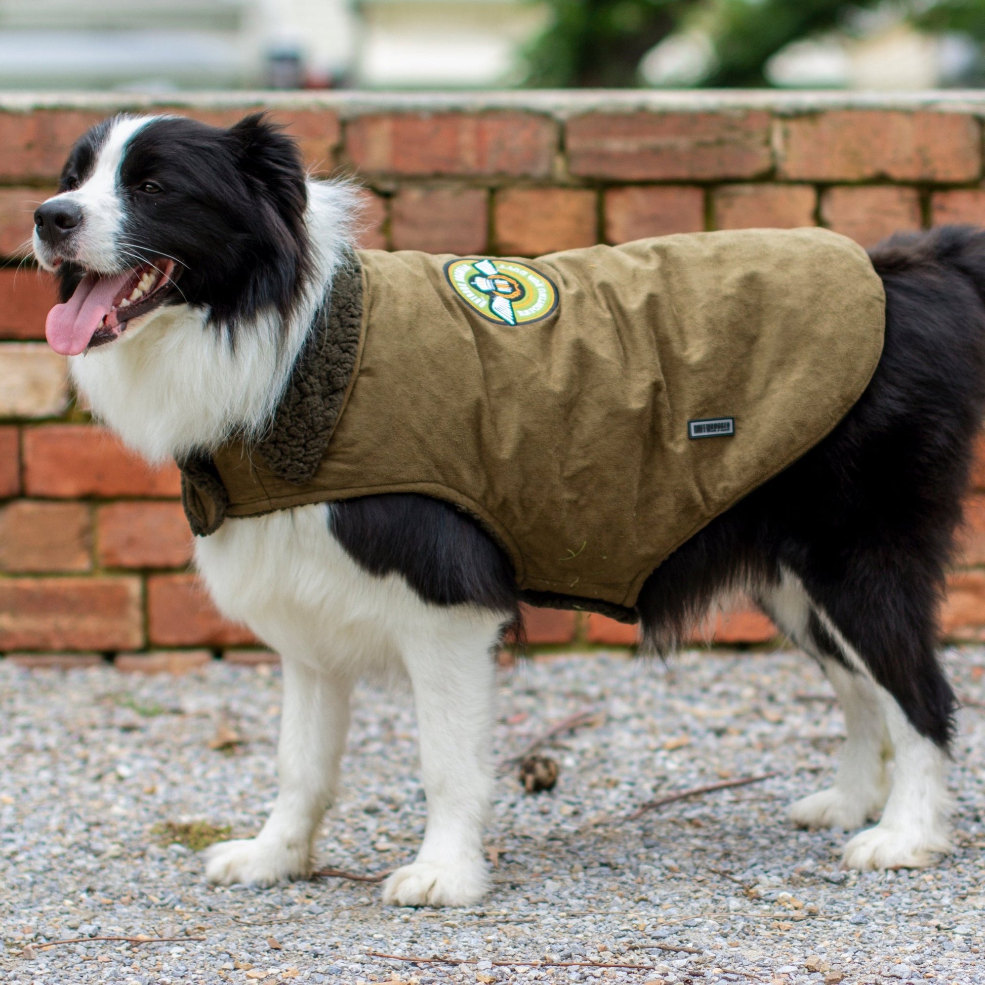 Ruff N Rugged Khaki Dog Coat - My Pooch and Me