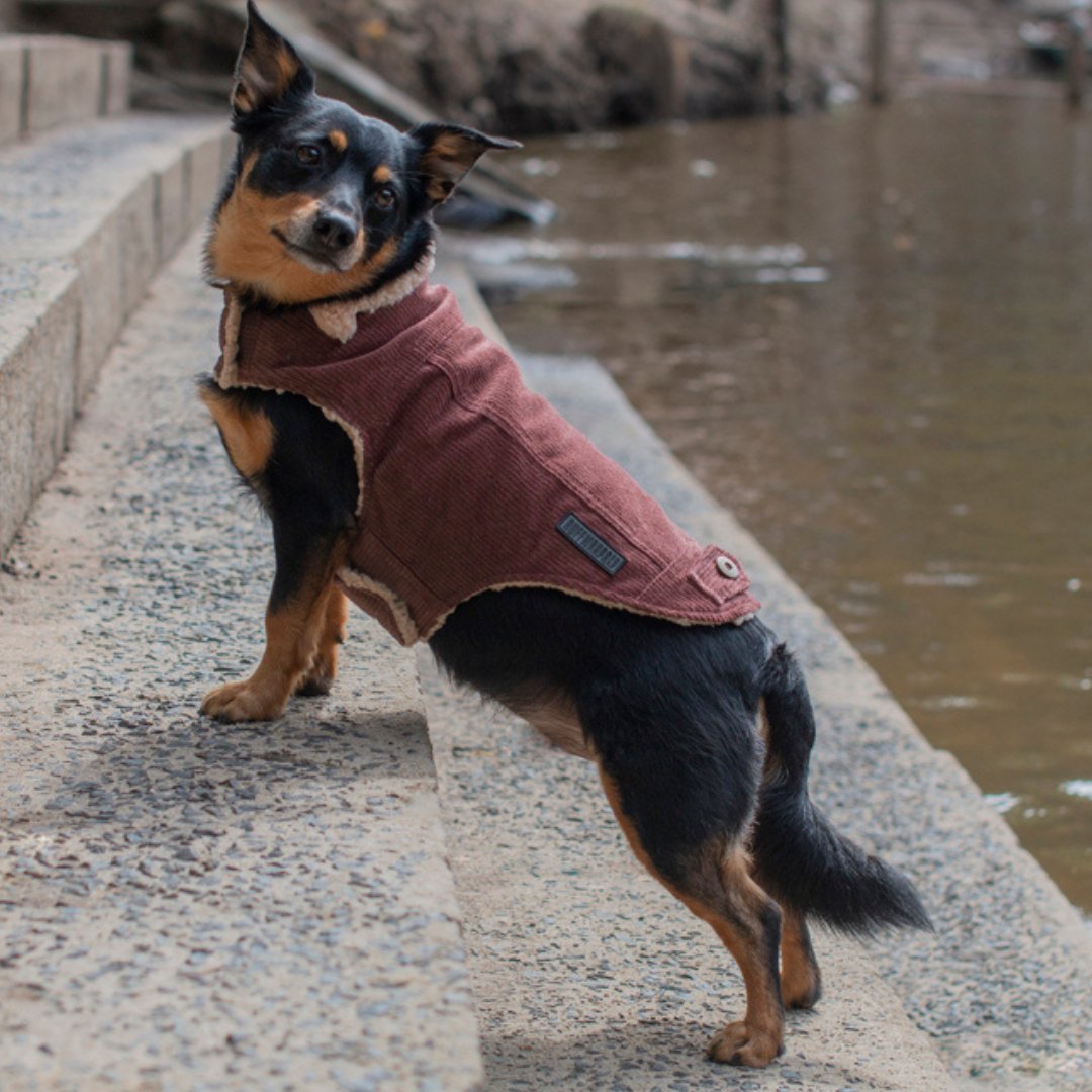 Ruff N Rugged Merlot Corduroy Dog Coat - My Pooch and Me