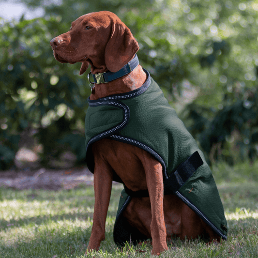 Ruff N Rugged Moss Green Mortech Rambler Dog Coat - My Pooch and Me