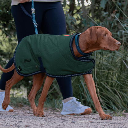 Ruff N Rugged Moss Green Mortech Rambler Dog Coat - My Pooch and Me