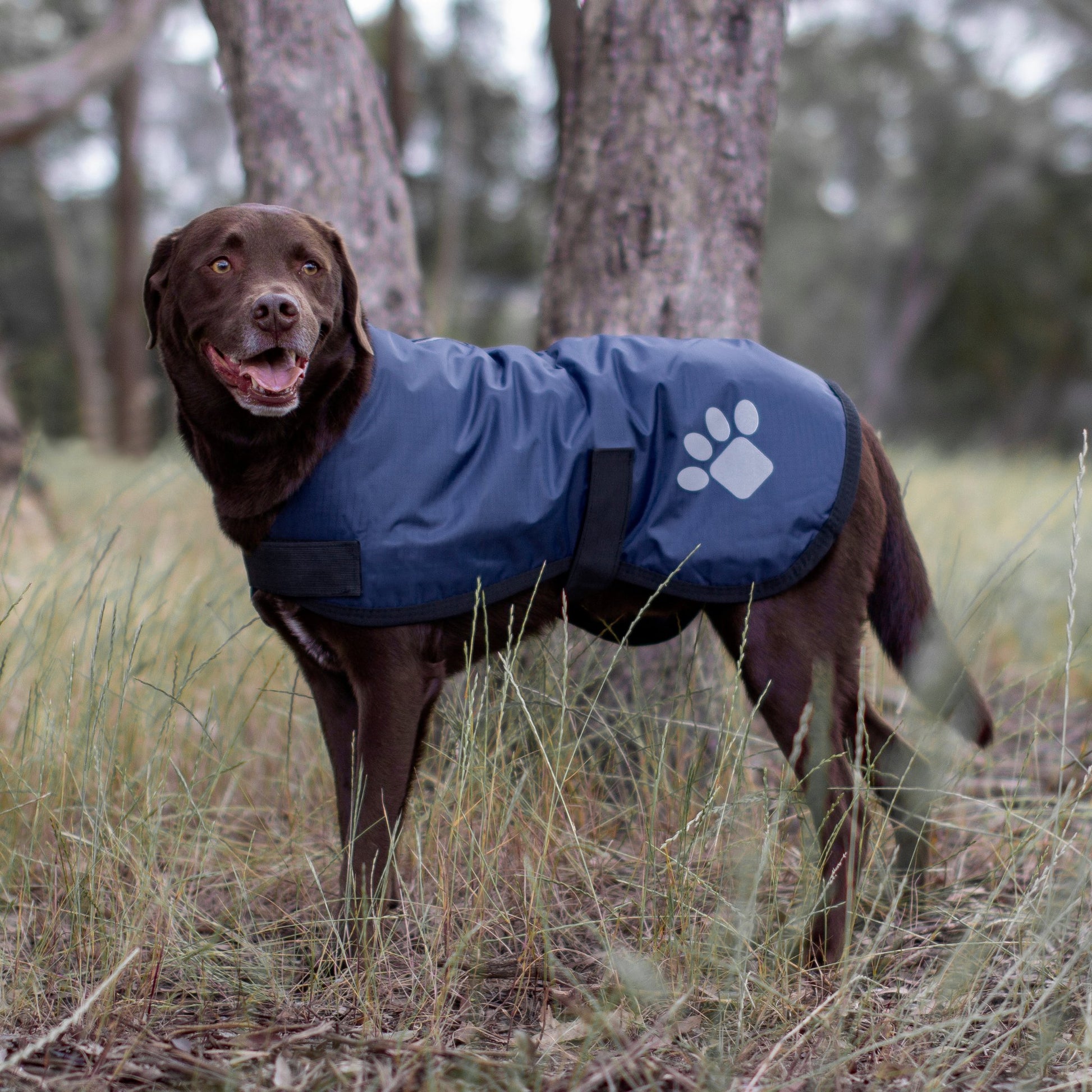 Ruff N Rugged Navy Utility Coat - My Pooch and Me