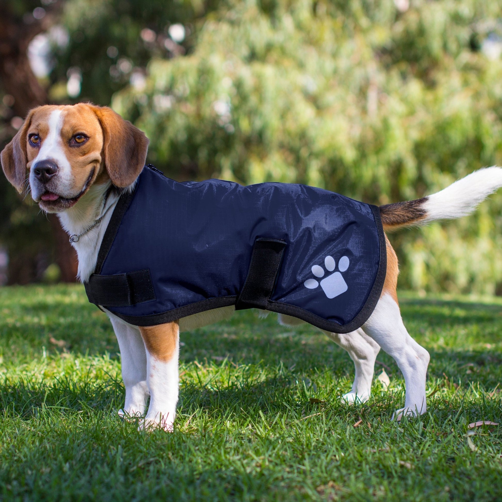 Ruff N Rugged Navy Utility Dog Coat - My Pooch and Me