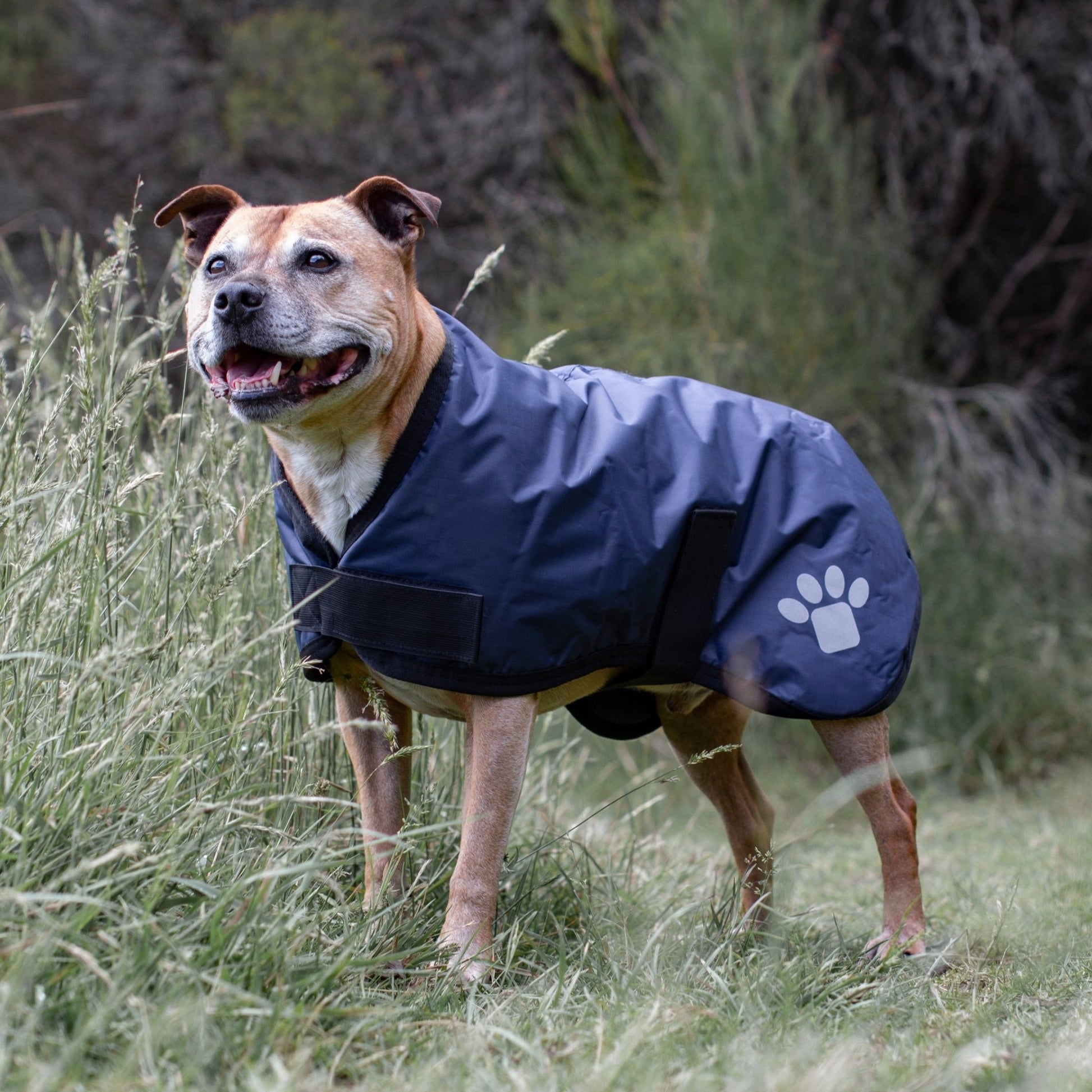 Ruff N Rugged Navy Utility Dog Coat - My Pooch and Me