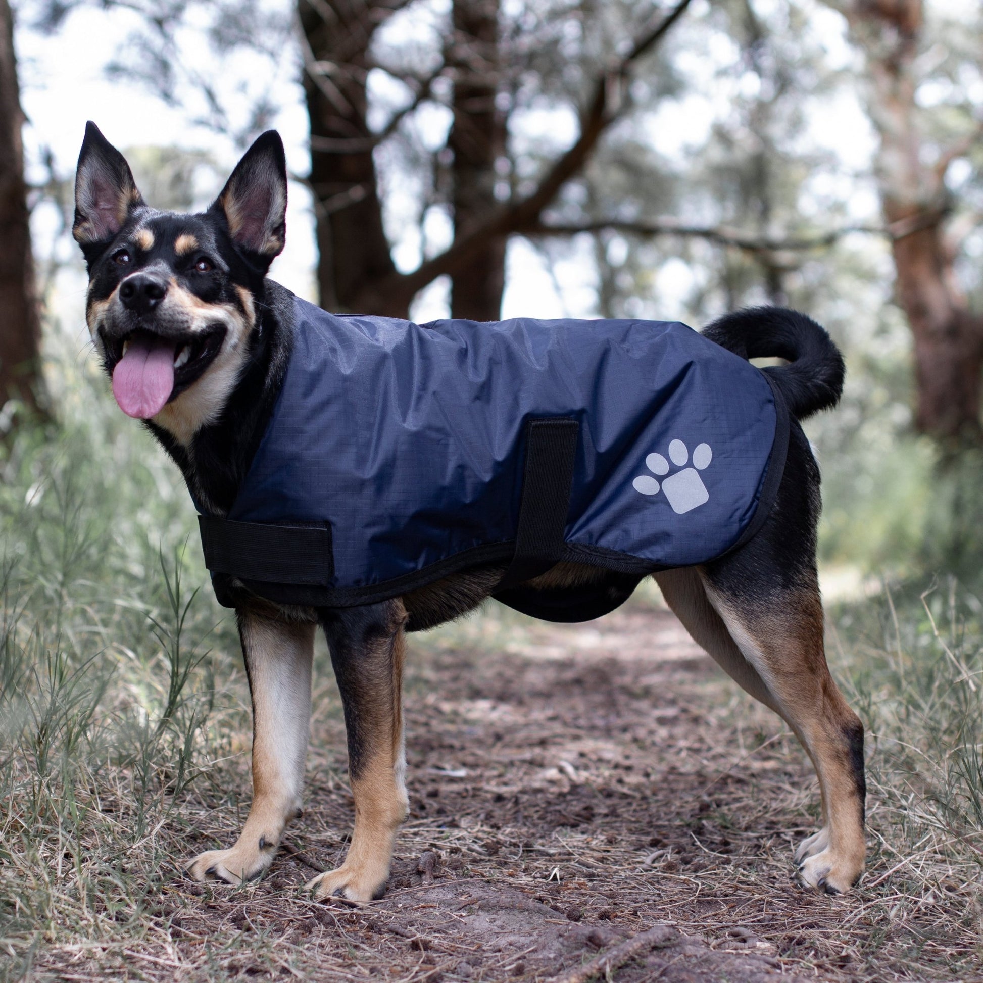 Ruff N Rugged Navy Utility Dog Coat - My Pooch and Me