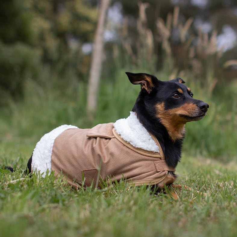 Ruff N Rugged Original Sherpa Dog Coat - My Pooch and Me