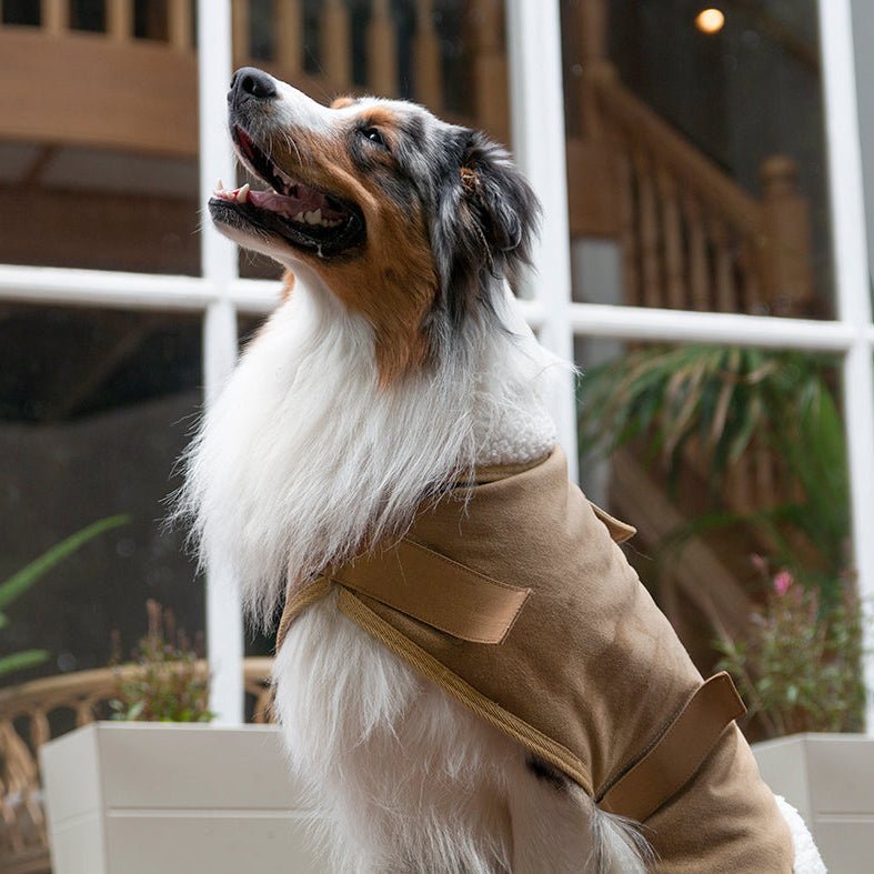 Ruff N Rugged Original Sherpa Dog Coat - My Pooch and Me