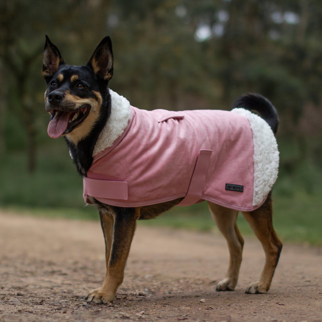 Ruff N Rugged Pink Sherpa Dog Coat - My Pooch and Me