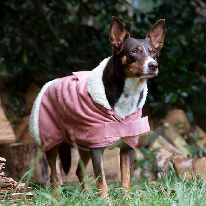 Ruff N Rugged Pink Sherpa Dog Coat - My Pooch and Me