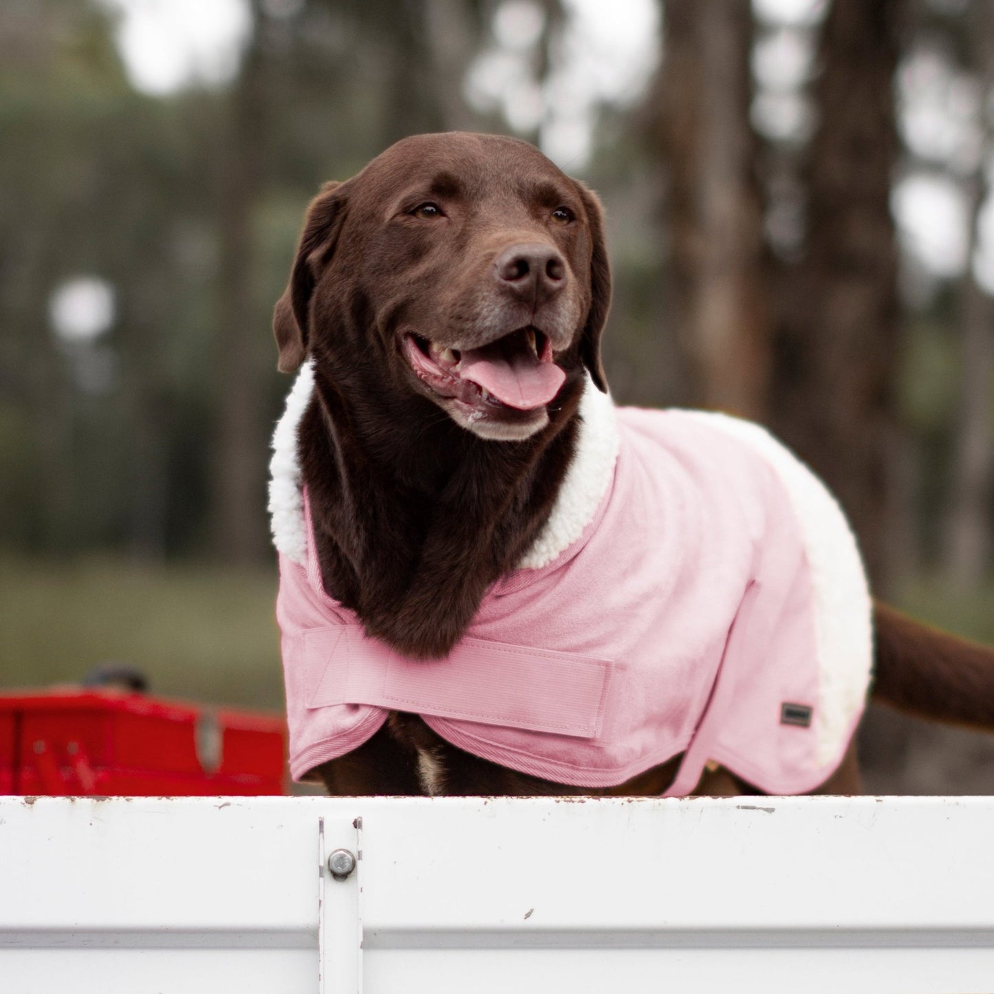 Ruff N Rugged Pink Sherpa Dog Coat - My Pooch and Me