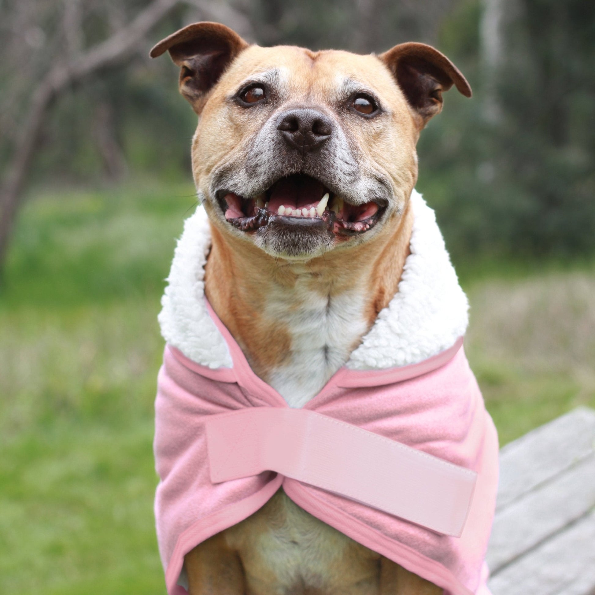 Ruff N Rugged Pink Sherpa Dog Coat - My Pooch and Me