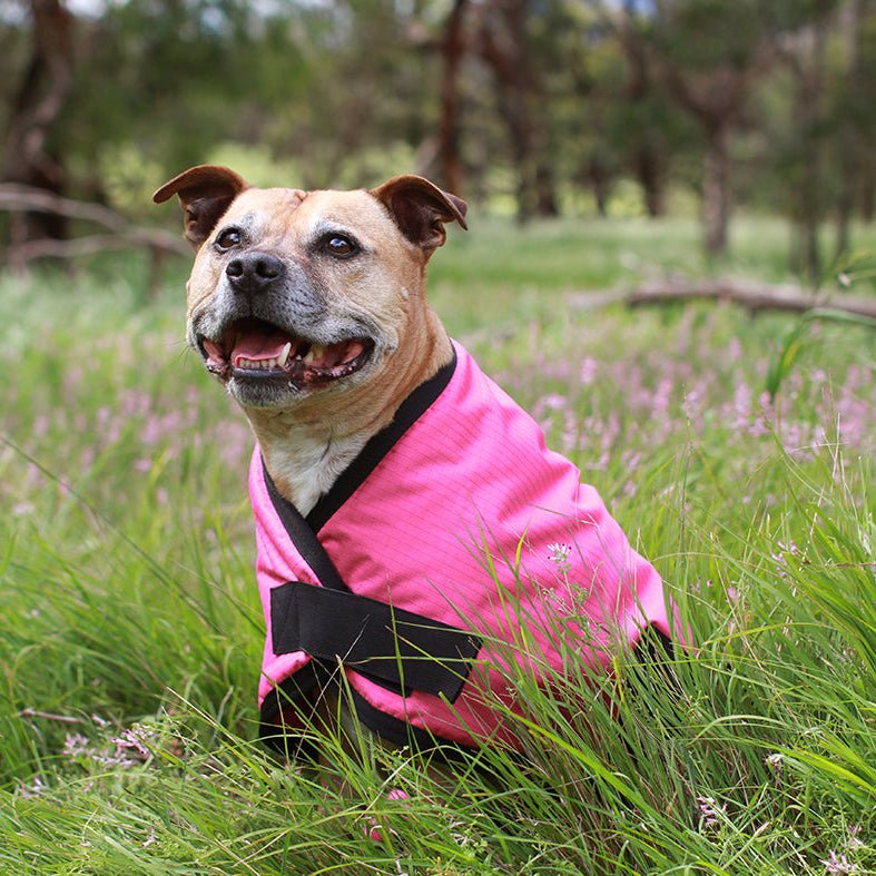 Ruff N Rugged Pink Utility Dog Coat - My Pooch and Me