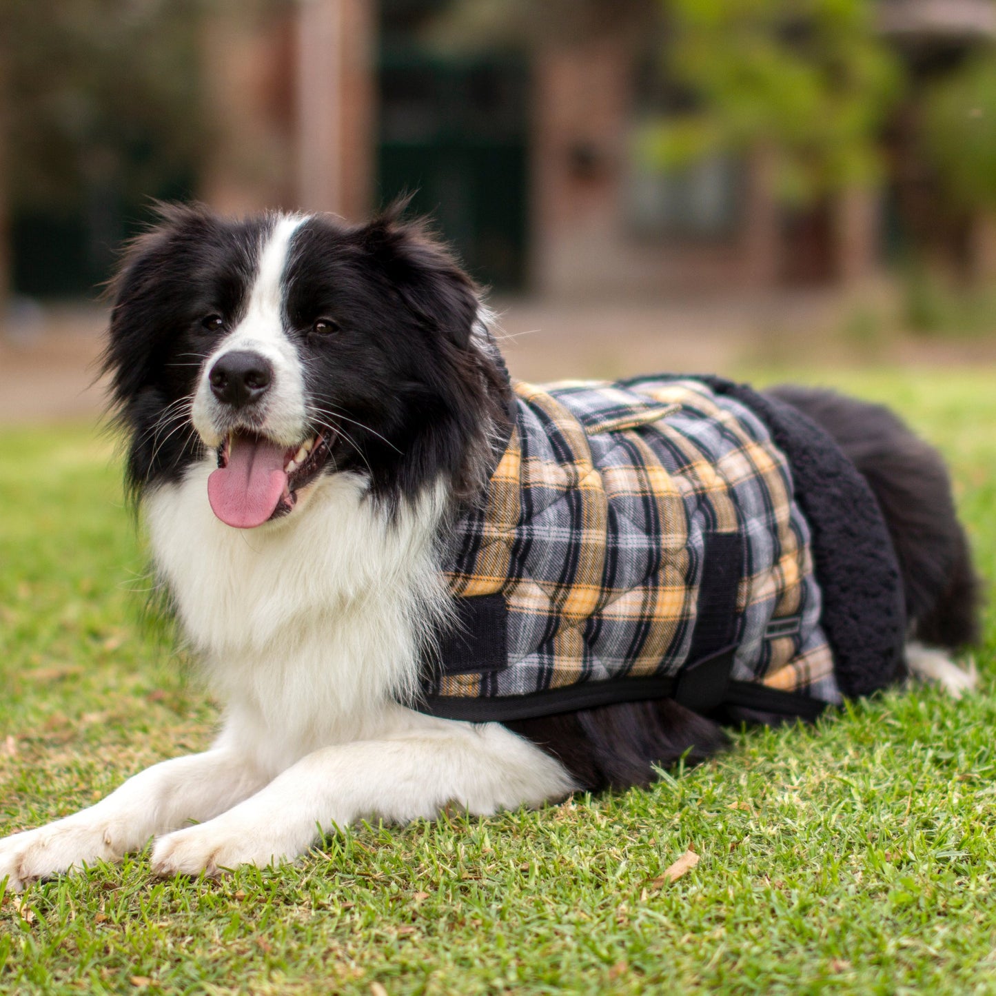 Ruff N Rugged Quilted Tartan Sherpa Dog Coat - My Pooch and Me