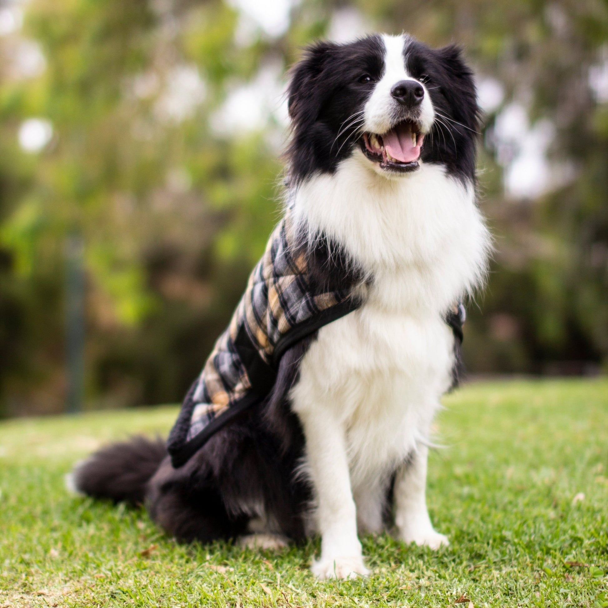 Ruff N Rugged Quilted Tartan Sherpa Dog Coat - My Pooch and Me