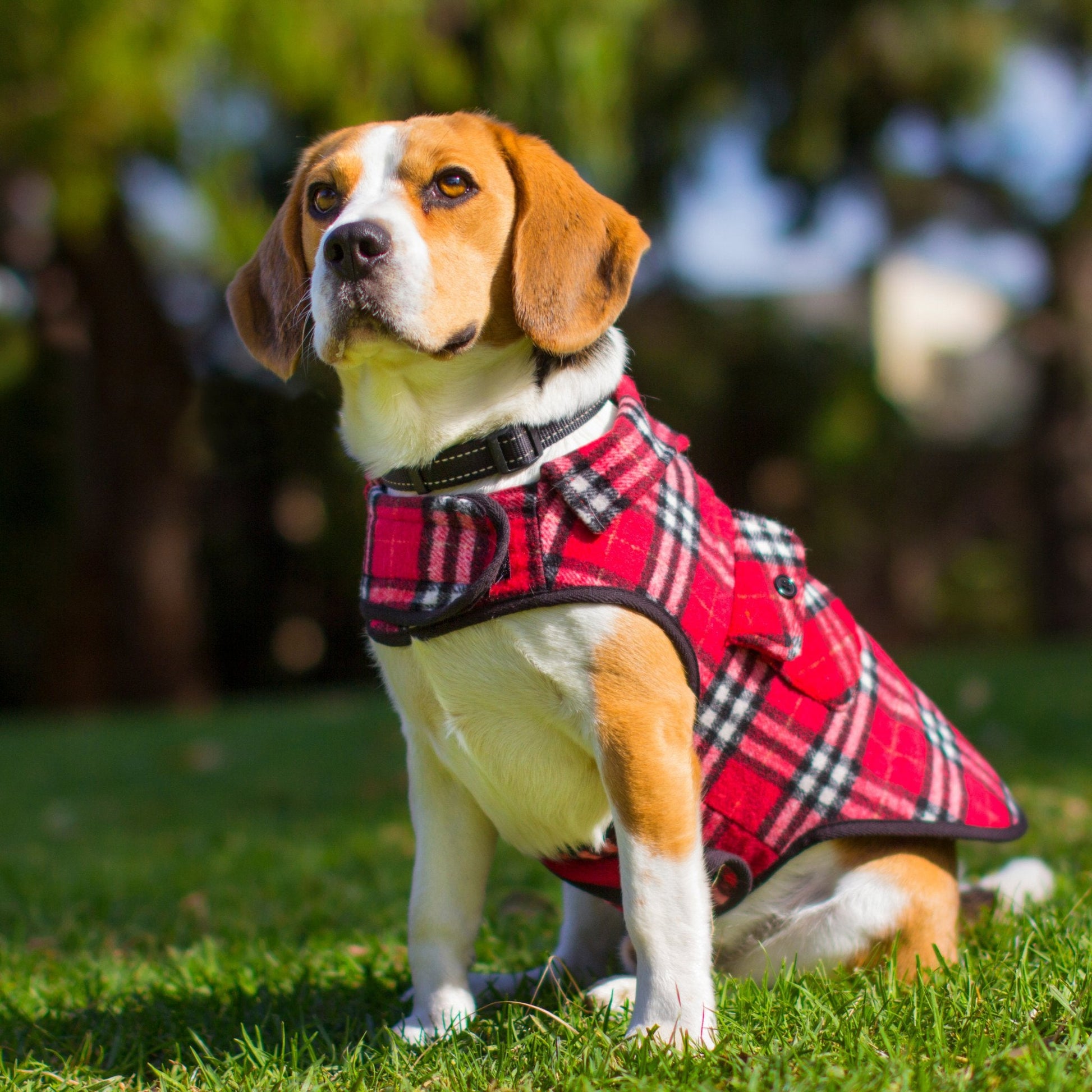 Ruff N Rugged Red Flannelette Dog Coat - My Pooch and Me