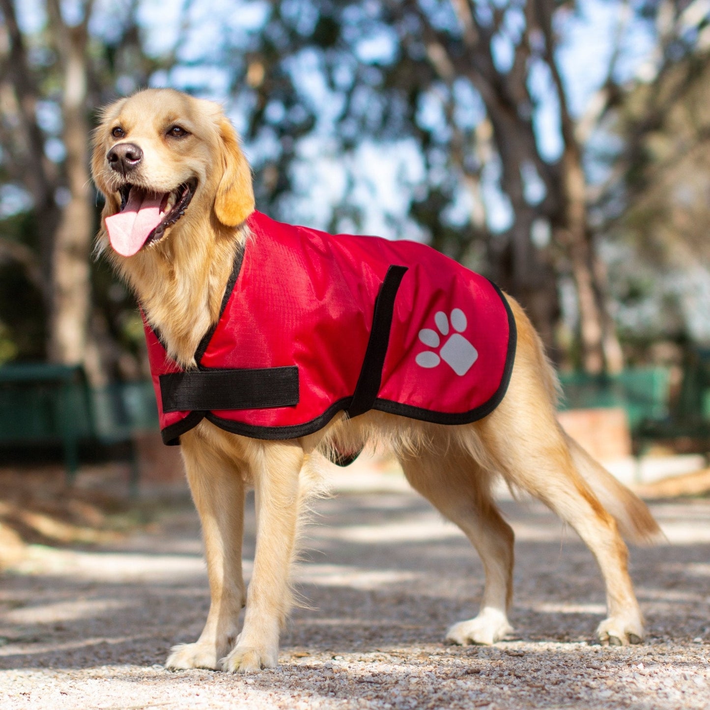 Ruff N Rugged Red Utility Dog Coat - My Pooch and Me