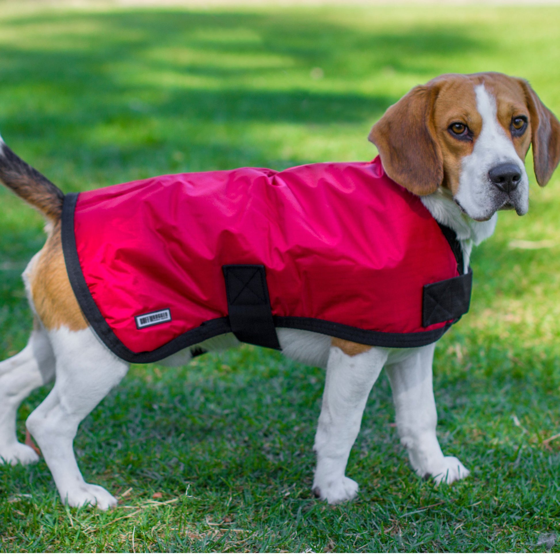 Ruff N Rugged Red Utility Dog Coat - My Pooch and Me