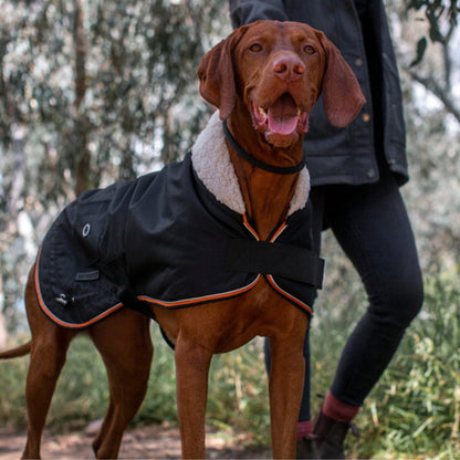 Ruff N Rugged Trail Blazer - My Pooch and Me